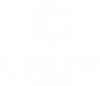 Callum Multimedia
